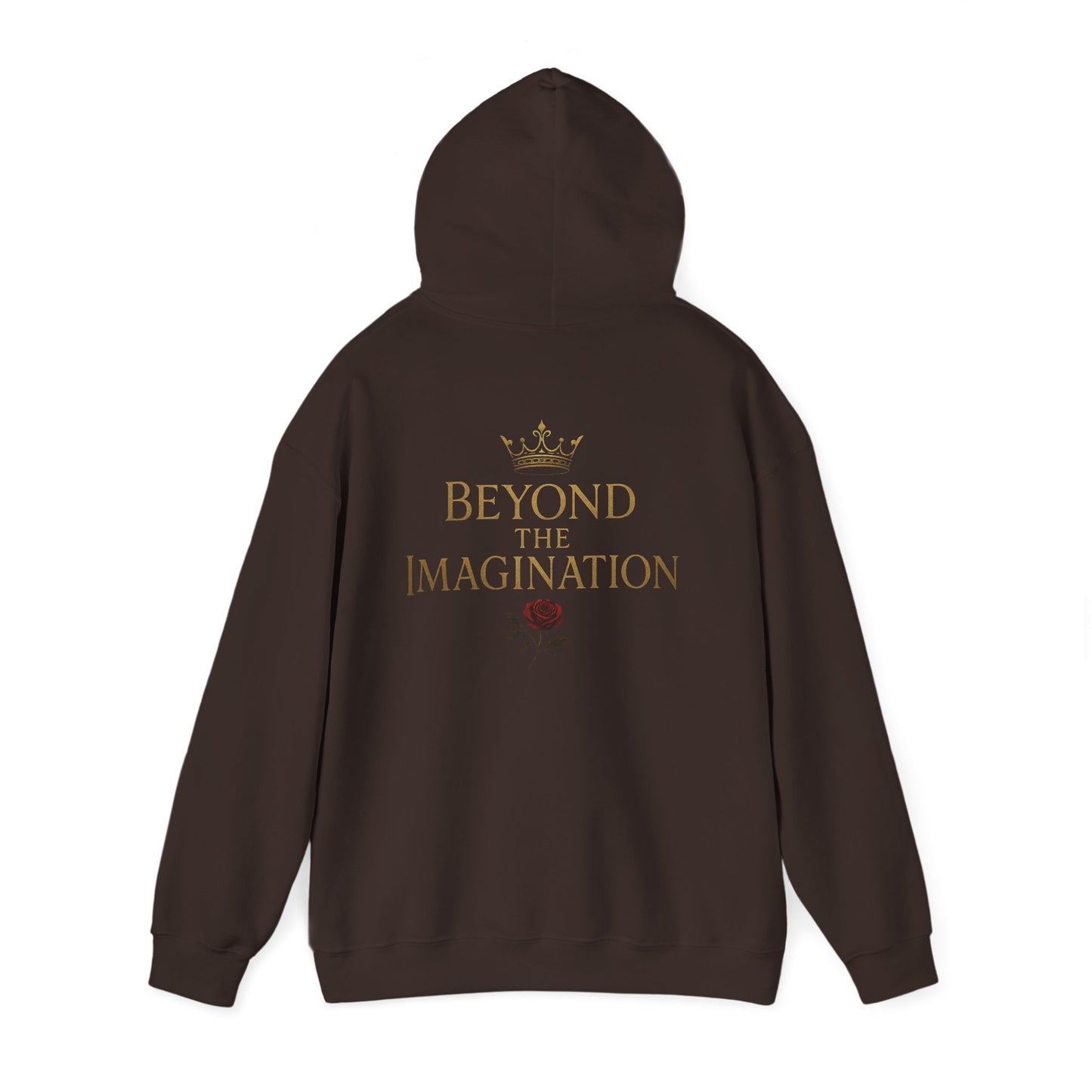 Beyond the Imagination Hoodie