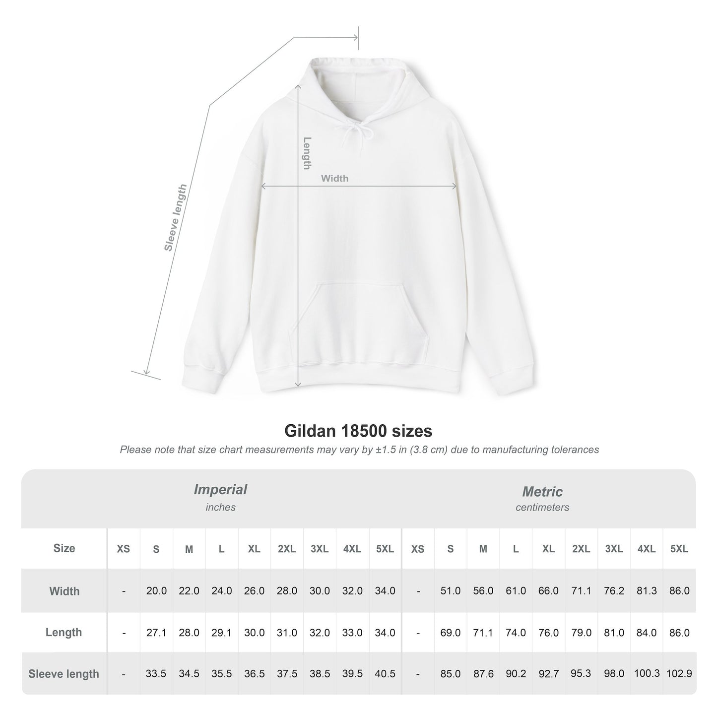 Beyond the Imagination Hoodie