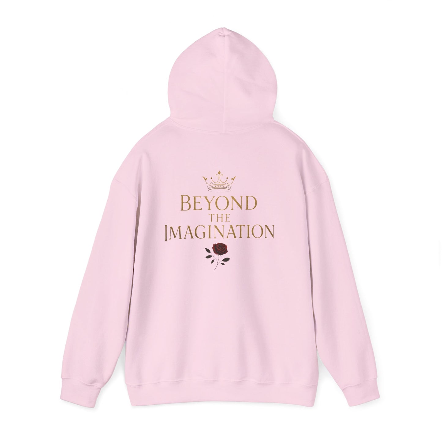Beyond the Imagination Hoodie