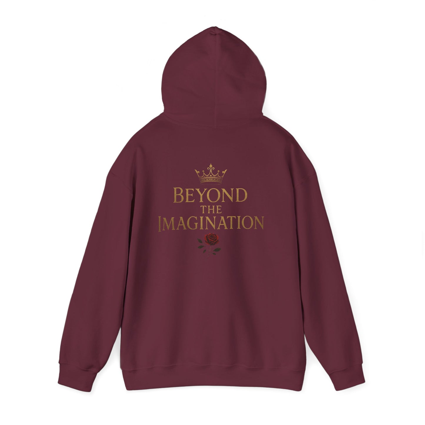 Beyond the Imagination Hoodie