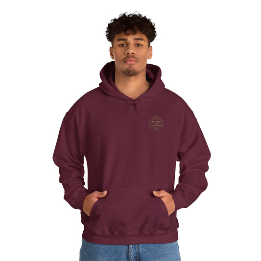 Fae-Inspired Fantasy Hoodie - I Became the Price